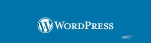 WordPress website